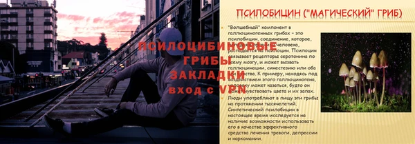 apvp Заволжск